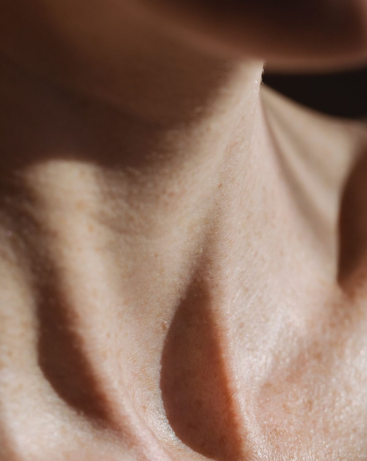 Pexels Angela Roma 7480278